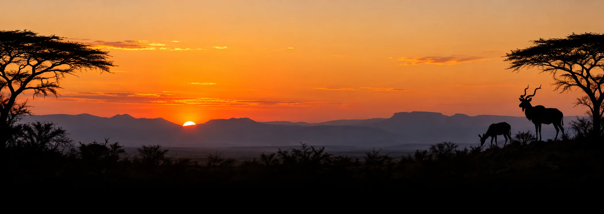 Sunset over the escarpment with acacia and kudu silhouettes